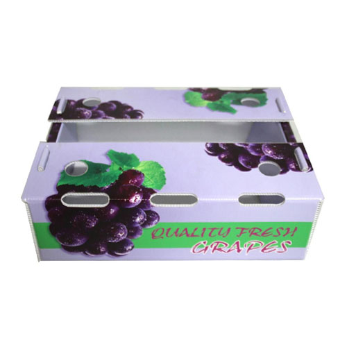grapes carton 1