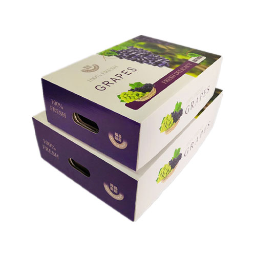 grapes carton 2