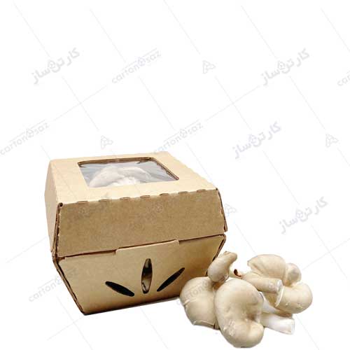 جعبه بسته بندی قارچ 